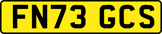 FN73GCS