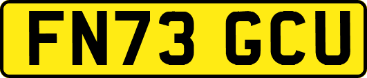 FN73GCU