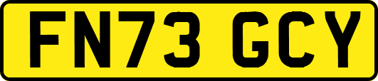 FN73GCY