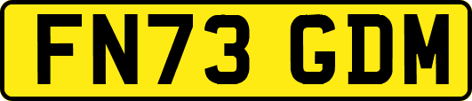 FN73GDM