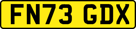 FN73GDX