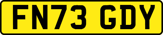 FN73GDY