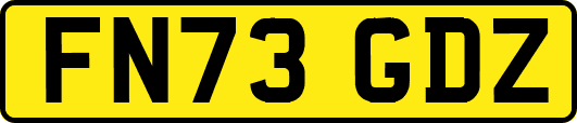 FN73GDZ