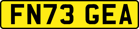 FN73GEA