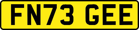 FN73GEE