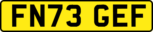FN73GEF