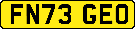 FN73GEO