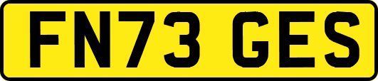 FN73GES