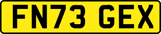 FN73GEX