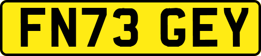 FN73GEY