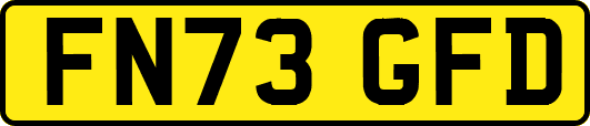 FN73GFD