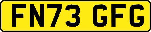 FN73GFG