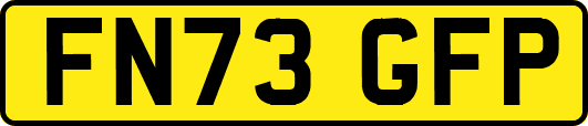 FN73GFP