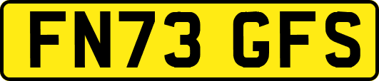 FN73GFS
