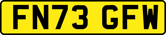 FN73GFW