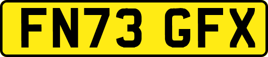 FN73GFX