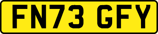 FN73GFY