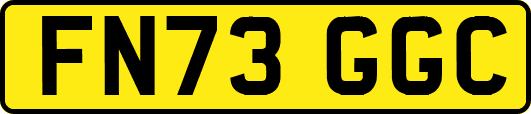 FN73GGC