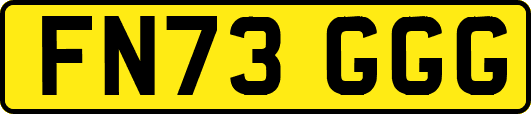 FN73GGG