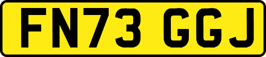 FN73GGJ