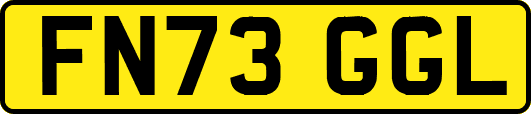 FN73GGL