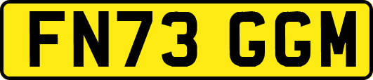FN73GGM