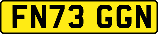 FN73GGN