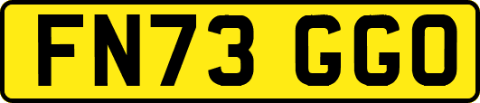 FN73GGO