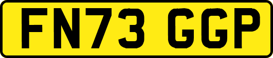 FN73GGP