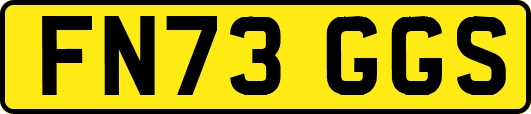 FN73GGS