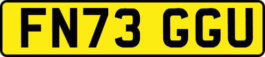 FN73GGU