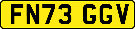 FN73GGV