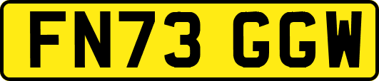 FN73GGW