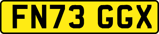 FN73GGX