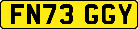 FN73GGY