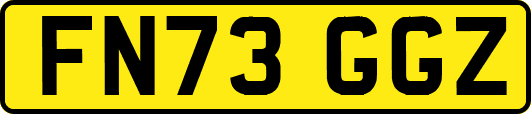 FN73GGZ