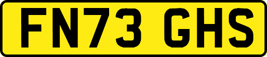 FN73GHS