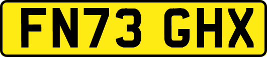 FN73GHX