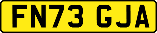 FN73GJA