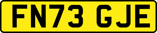 FN73GJE