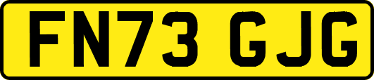 FN73GJG