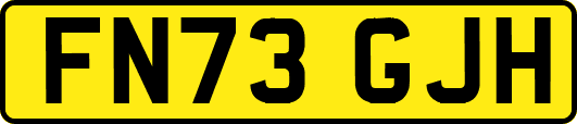FN73GJH