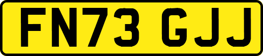 FN73GJJ