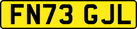 FN73GJL