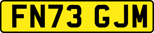 FN73GJM