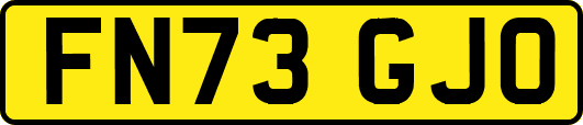 FN73GJO
