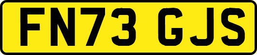 FN73GJS