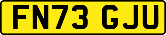 FN73GJU