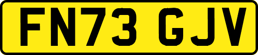 FN73GJV
