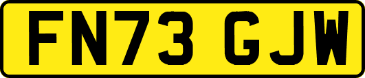 FN73GJW